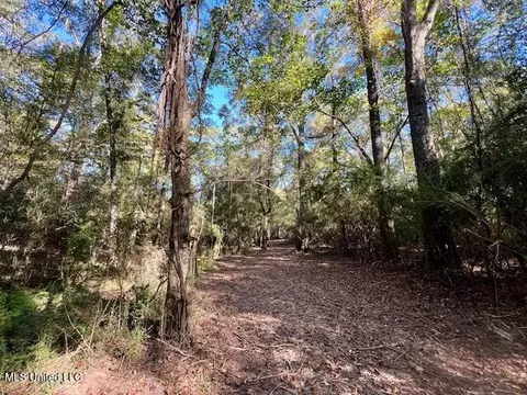 00 Silver Dr, Tylertown, MS 39667 photo 7