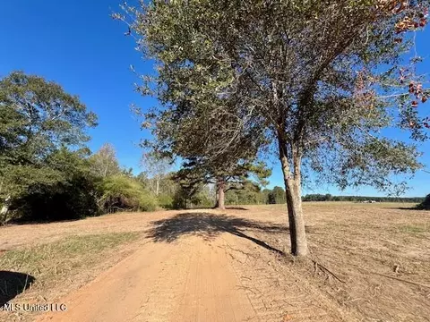 00 Silver Dr, Tylertown, MS 39667 photo 34