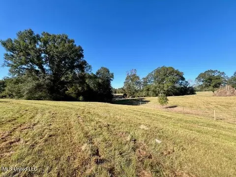 00 Silver Dr, Tylertown, MS 39667 photo 5