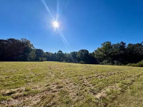 00 Silver Dr, Tylertown, MS 39667 photo 22
