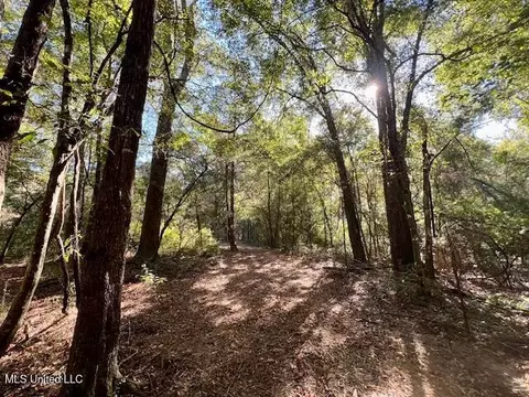 00 Silver Dr, Tylertown, MS 39667 photo 15