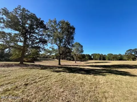 00 Silver Dr, Tylertown, MS 39667