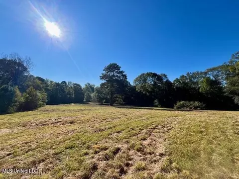 00 Silver Dr, Tylertown, MS 39667 photo 18