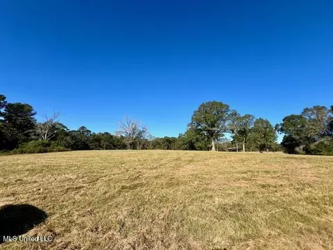 00 Silver Dr, Tylertown, MS 39667 photo 19