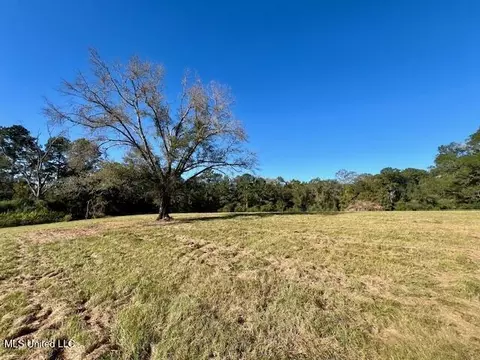 00 Silver Dr, Tylertown, MS 39667 photo 21