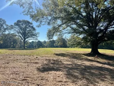 00 Silver Dr, Tylertown, MS 39667 photo 28
