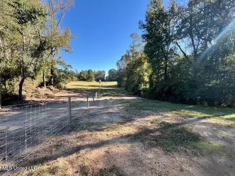 00 Silver Dr, Tylertown, MS 39667 photo 30