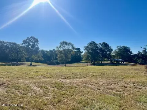 00 Silver Dr, Tylertown, MS 39667 photo 40