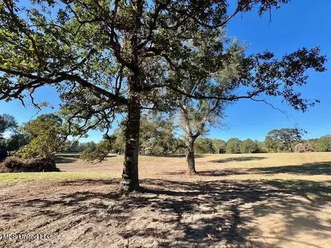 00 Silver Dr, Tylertown, MS 39667 photo 2
