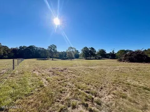 00 Silver Dr, Tylertown, MS 39667 photo 38