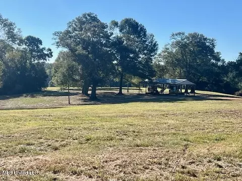 00 Silver Dr, Tylertown, MS 39667 photo 39
