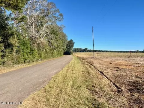 00 Silver Dr, Tylertown, MS 39667 photo 42