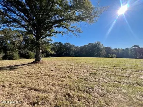 00 Silver Dr, Tylertown, MS 39667 photo 25
