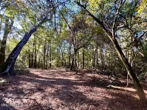 00 Silver Dr, Tylertown, MS 39667 photo 16