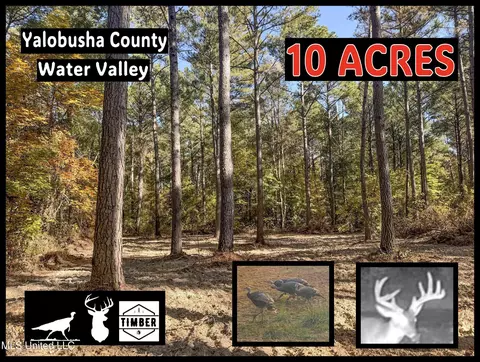 tbd Cr 94 - Coleman Rd, Water Valley, MS 38965