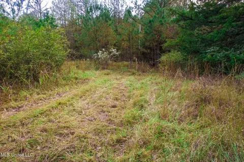 1724 Sharon Rd, Canton, MS 39046 photo 13