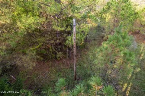 1724 Sharon Rd, Canton, MS 39046 photo 12
