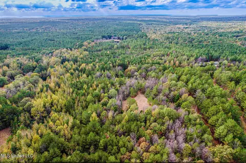 1724 Sharon Rd, Canton, MS 39046 photo 5