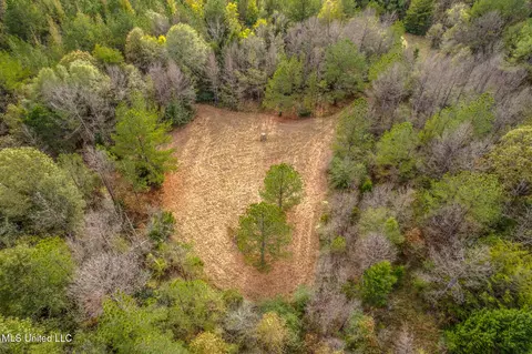 1724 Sharon Rd, Canton, MS 39046 photo 7