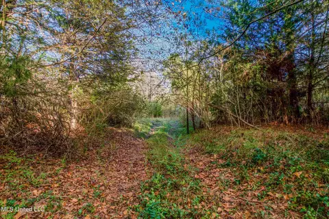1724 Sharon Rd, Canton, MS 39046 photo 10