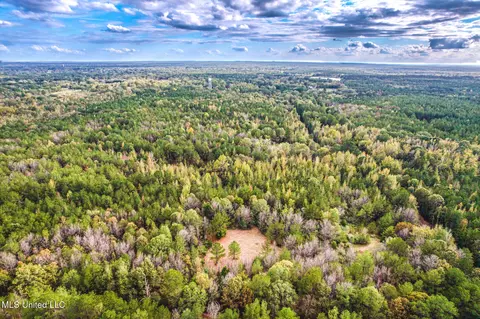 1724 Sharon Rd, Canton, MS 39046 photo 4