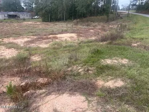 450 County Road 155, Stringer, MS 39481 photo 2