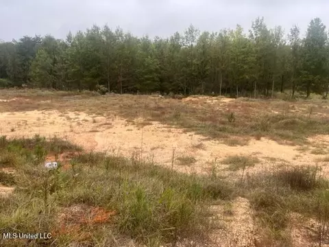 450 County Road 155, Stringer, MS 39481 photo 3