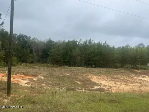 450 County Road 155, Stringer, MS 39481 photo 4