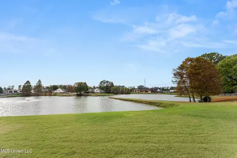 View/Area - 3143 Quartz Dr, Hernando, MS 38632 photo 1 of 1