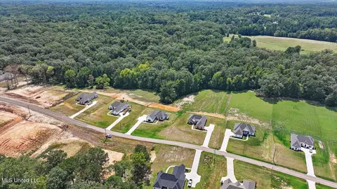 View/Area - 961 Mullican Rd, Florence, MS 39073 photo 5 of 10