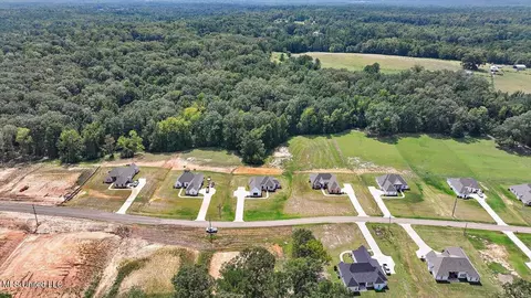View/Area - 961 Mullican Rd, Florence, MS 39073 photo 6 of 10