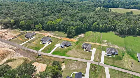 View/Area - 961 Mullican Rd, Florence, MS 39073 photo 4 of 10
