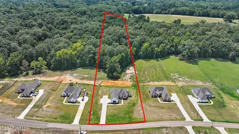 View/Area - 961 Mullican Rd, Florence, MS 39073 photo 1 of 10