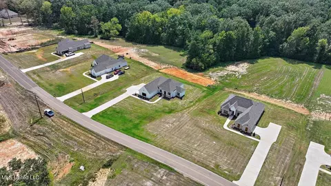 View/Area - 961 Mullican Rd, Florence, MS 39073 photo 3 of 10