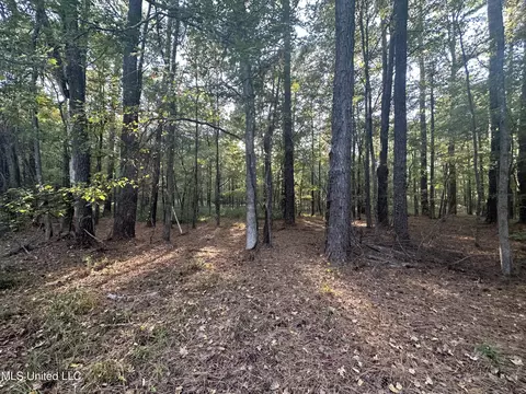 0 Gates Cv, Madison, MS 39110 photo 3