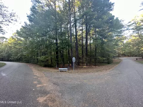 0 Gates Cv, Madison, MS 39110 photo 9