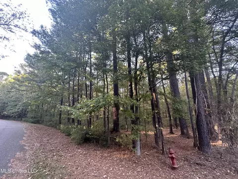 0 Gates Cv, Madison, MS 39110 photo 10