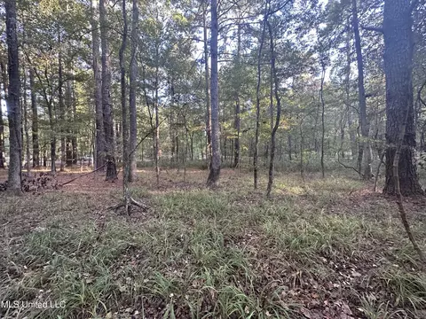 0 Gates Cv, Madison, MS 39110 photo 4