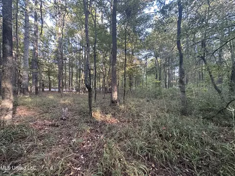 0 Gates Cv, Madison, MS 39110 photo 6