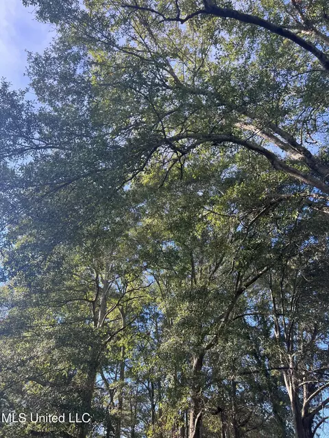 Unassigned Hines Ln, Braxton, MS 39044