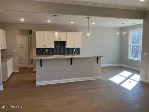 Other - 1721 Baisley Dr, Nesbit, MS 38651 photo 1 of 6