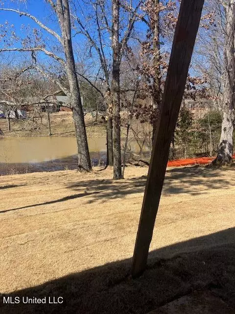 View/Area - 1721 Baisley Dr, Nesbit, MS 38651 photo 2 of 2
