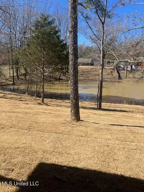 View/Area - 1721 Baisley Dr, Nesbit, MS 38651 photo 1 of 2