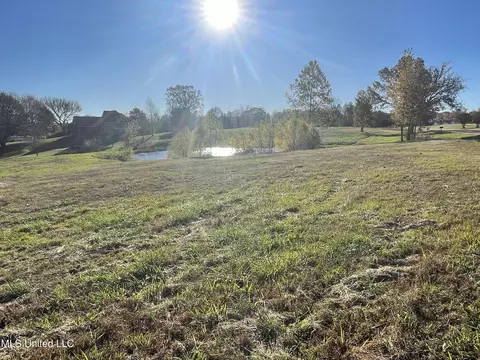 Poagville Road, Coldwater, MS 38618