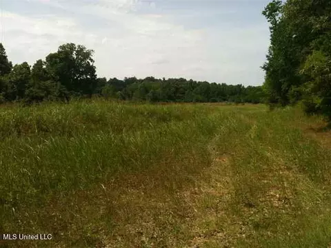 River Terminal Road, Natchez, MS 39120 photo 3
