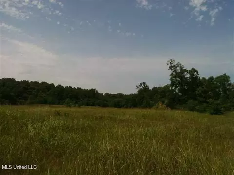 River Terminal Road, Natchez, MS 39120
