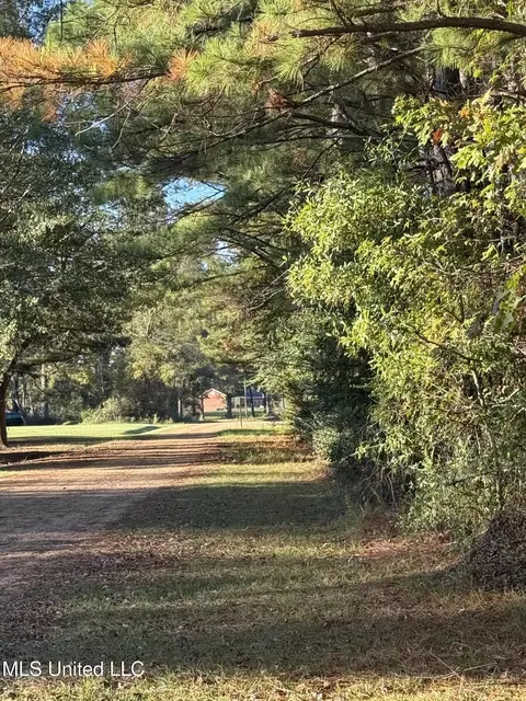 Factory Road, Eupora, MS 39744 photo 9