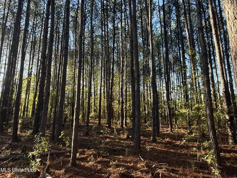 Factory Road, Eupora, MS 39744 photo 8