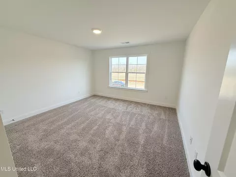 711 Wells Dr, Hernando, MS 38632 photo 38