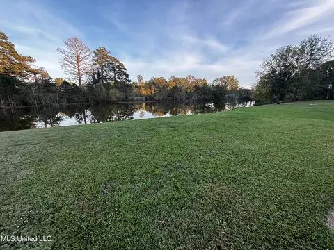 View/Area - 30 Lakeside Pl, Brandon, MS 39047 photo 1 of 1